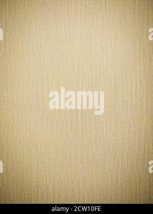 Old cloth canvas texture. Book cover closeup Stock Photo