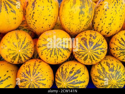 Background from yellow delicious turkish melons at farm market Stock Photo