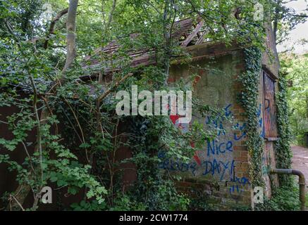 An abandoned, derelict, vine and graffiti covered structure with broken roof in the middle of the woods. Ruislip Woods Nature Preserve, NW London. Stock Photo