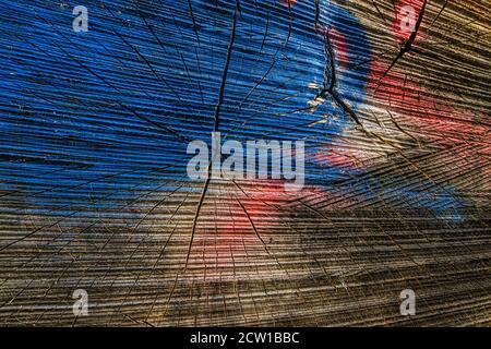 structure of a painted tree trunk Stock Photo