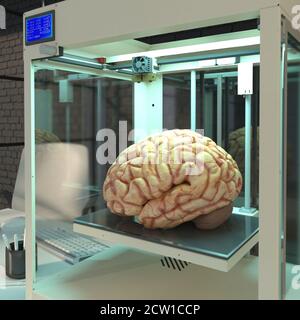 3d printer printing a brain, computer illustration Stock Photo - Alamy