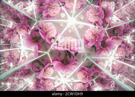 A photography of rose peony flowers in kaleidoscope mirror reflection style background on white marble texture. For natural, luxurious and bohemian Stock Photo