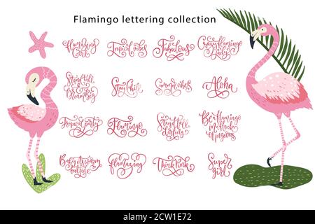 Summer lettering flamingo girly vector set. Summertime calligraphy quote collection. Perfect for tshirt prints - aloha, summer, tropical vibes, super girl, stand tall. Stock Vector