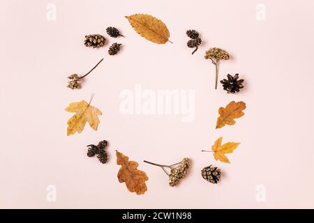 Creative composition. Wreath made of dried various leaves, flowers, pine cones on pink studio background for advertisement. Autumn, fall, thanksgiving Stock Photo