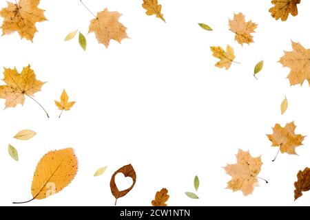 Autumn composition. Pattern made of dried various leaves on white studio background for advertisement. Autumn, fall, thanksgiving day concept. Flat la Stock Photo