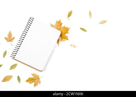 Flat lay minimal composition with little dry maple leaves, notebook on white studio background. Autumn, thanksgiving, fall, halloween concept. Top vie Stock Photo