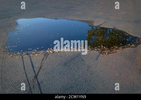 Puddle on the asphalt. A puddle on the sidewalk with a reflection of the sky and trees. Stock Photo