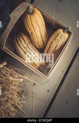 Batch of pumpkins on the farmers market in the fall Stock Photo