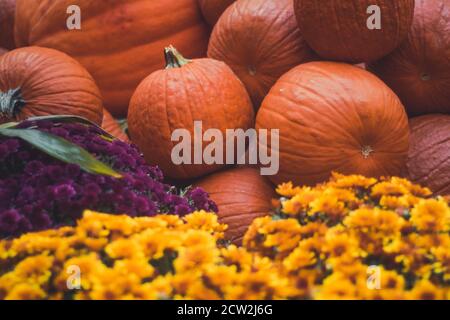 Batch of pumpkins on the farmers market in the fall Stock Photo