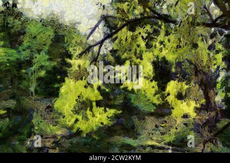 Trees and branches Illustrations creates an impressionist style of painting. Stock Photo