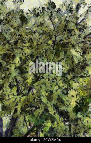 Trees and branches Illustrations creates an impressionist style of painting. Stock Photo