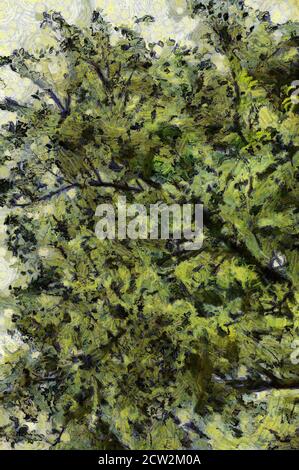 Trees and branches Illustrations creates an impressionist style of painting. Stock Photo