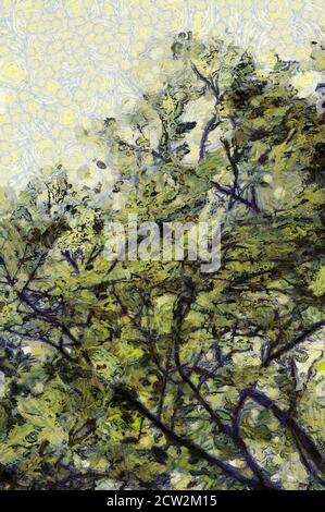 Trees and branches Illustrations creates an impressionist style of painting. Stock Photo