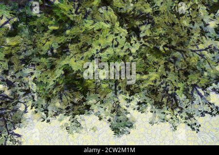 Trees and branches Illustrations creates an impressionist style of painting. Stock Photo