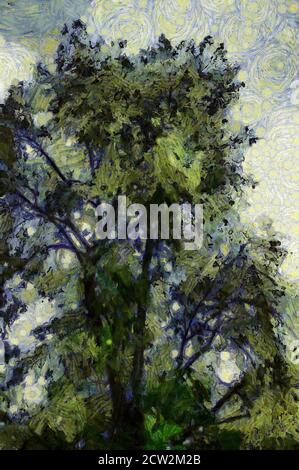 Trees and branches Illustrations creates an impressionist style of painting. Stock Photo