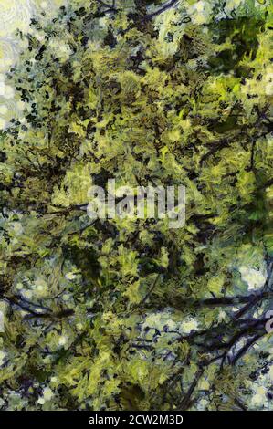 Trees and branches Illustrations creates an impressionist style of painting. Stock Photo