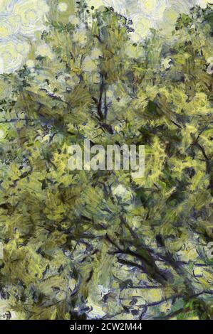 Trees and branches Illustrations creates an impressionist style of painting. Stock Photo