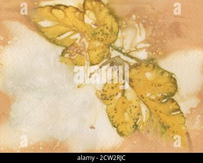 Vintage paper texture. Grunge background. Contains grain and dust. Eco Paper Dyeing using Plants. Stock Photo