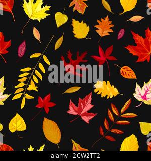 Autumn leaves falling from trees, foliage and leafage Stock Vector