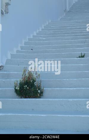 Whitewashed stair in Chora on the beautiful greek island of Astypalea Stock Photo