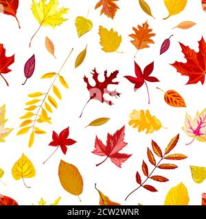 Autumn foliage, falling leaves of fall season vector Stock Vector