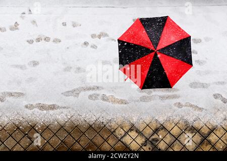 Woman holding a black and red umbrella under snow Stock Photo