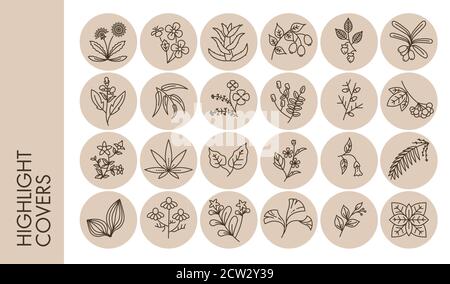 Highlights covers floral ornaments, herbs and flowers in circles Stock Vector