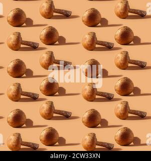 Seamless Pattern of Forest mushrooms on beige background Stock Photo