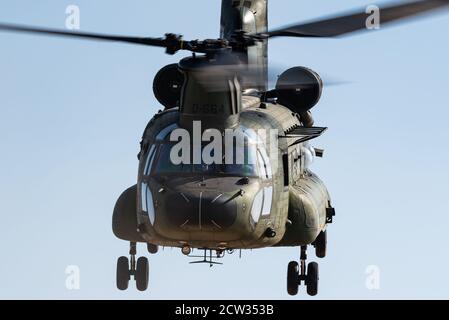 A Boeing CH-47 Chinook military transport helicopter of the Royal Netherlands Air Force at the GLV-5 low flying area near Eindhoven. Stock Photo