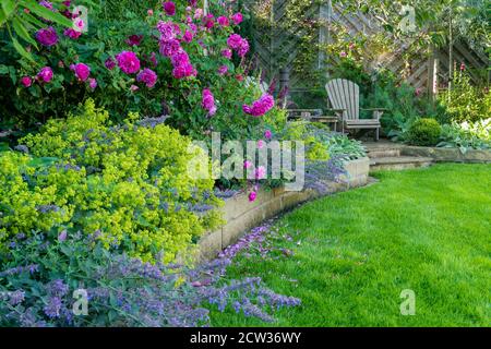 Landscaped sunny private garden (contemporary design, colourful summer flowers, border plants, patio furniture seating, lawn) - Yorkshire, England, UK Stock Photo