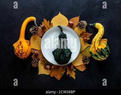 Autumn and Thanksgiving day table setting with fallen leaves, pumpkins, empty white plate on the dark background Stock Photo