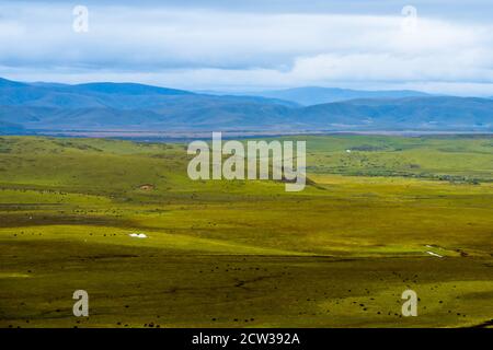 The vast grassland in Ruoergai Grassland, in the north part of Sichuan province, in China. Stock Photo