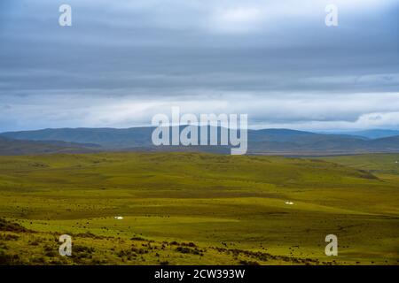 The vast grassland in Ruoergai Grassland, in the north part of Sichuan province, in China. Stock Photo