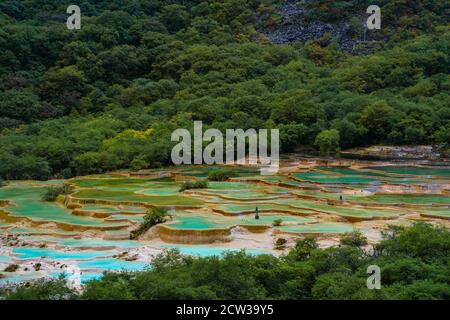 The turquoise color pools in Huanglong Valley, in Sichuan province, China. Stock Photo