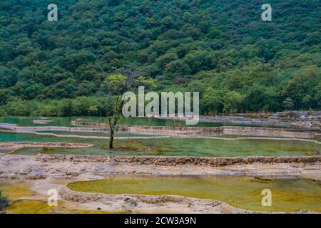 The turquoise color pools in Huanglong Valley, in Sichuan province, China. Stock Photo