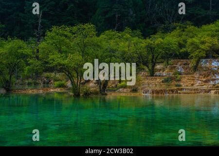 The turquoise color pools in Huanglong Valley, in Sichuan province, China. Stock Photo