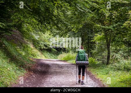 senderista en el bosque, pista de Anapia a prados de Sanchese, trekking de las Golondrinas, Lescun, región de Aquitania, departamento de Pirineos Atlá Stock Photo