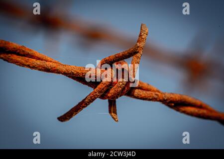 A close up a rusty barb of barbed wire Stock Photo