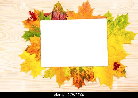 mockup Blank sheet of paper on a background of bright fallen leaves lying on a wooden table. Flat lay, top view, copy space. postcard mockup. Stock Photo