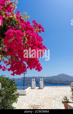 beautiful bougainvillea flower with awesome colors in Santorini Greek island with deep blue sea and sky Stock Photo