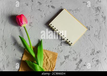 Beautiful freshly cut pink tulip and empty blank spyral note book on gray concrete background. Mock up with copy space. Stock Photo