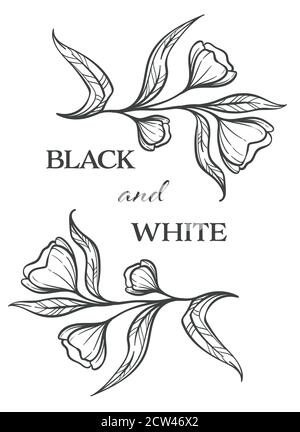 Black and white flowers, flora monochrome sketch outline Stock Vector