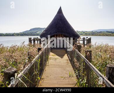 Replica neolithic thatched crannog built over Llangors Lake in the Brecon Beacons of South Wales UK Stock Photo