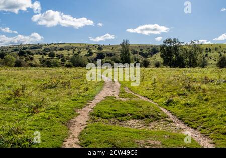 Path leading towards Black Down and Beacon Batch the highest point on the Mendip HIlls in Somerset UK Stock Photo