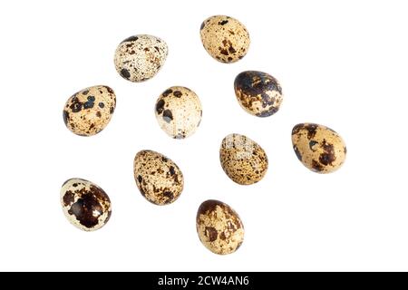Quail eggs isolated on white background. Group of quail eggs close-up isolated on a white background. Top view. Detailed closeup of spotted quail eggs Stock Photo