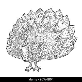 Beautiful adult coloring book page with funny cartoon peacock on white background Stock Vector