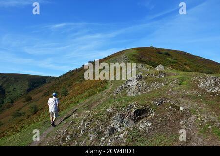 Man walking from Carding Mill Valley to the Long Mynd, in the Shropshire Hills, UK Stock Photo