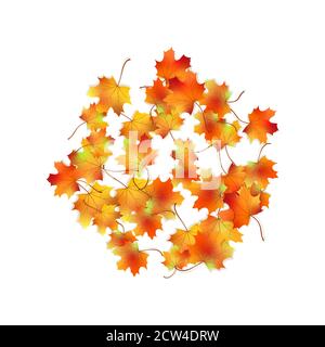 Round pattern bright colorful maple autumn foliage with shadow isolated on white. Graphic design autumn symbol. Red orange yellow dry autumn leaves. A Stock Vector
