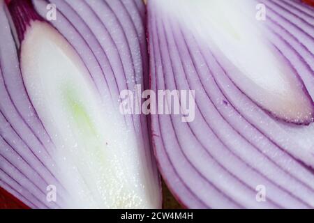Detail of the geometric design created by the concentric tunics of a red onion from Tropea, Calabria, cut in half Stock Photo
