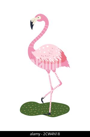 Flamingo bird modern color cartoon character on white background. Isolated pink wild animal vector design. Stock Vector
